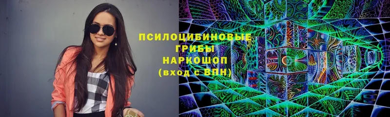 Галлюциногенные грибы MAGIC MUSHROOMS  как найти наркотики  Сорочинск 